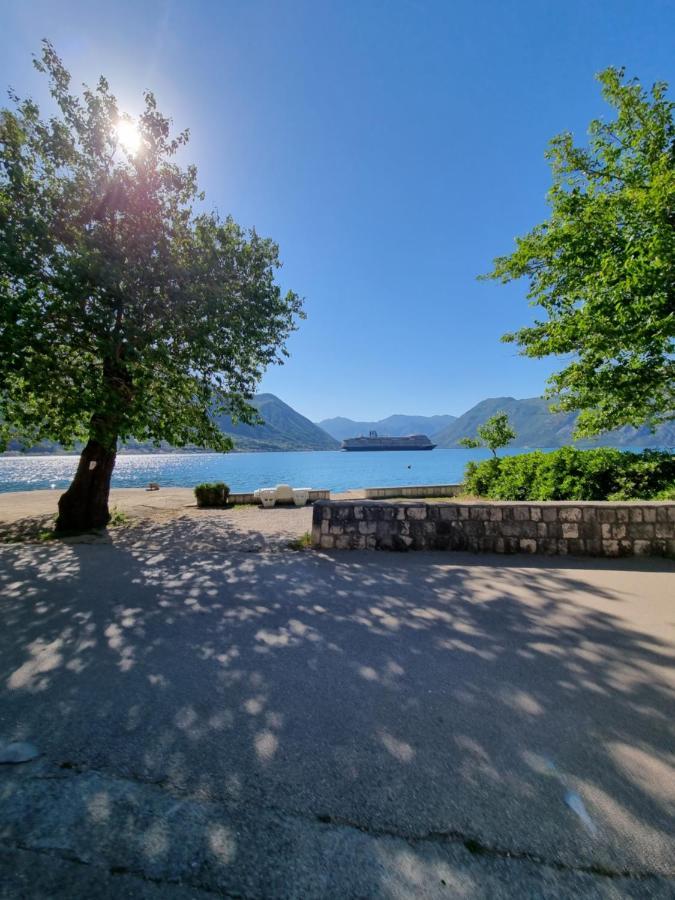Studio On The Coast, With A View Of The Sunrise,Free We-Fi Kotor Dış mekan fotoğraf