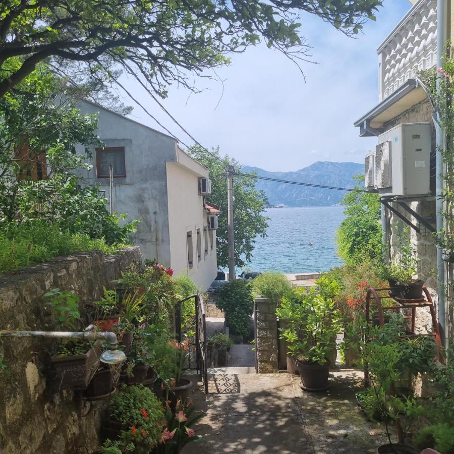 Studio On The Coast, With A View Of The Sunrise,Free We-Fi Kotor Dış mekan fotoğraf